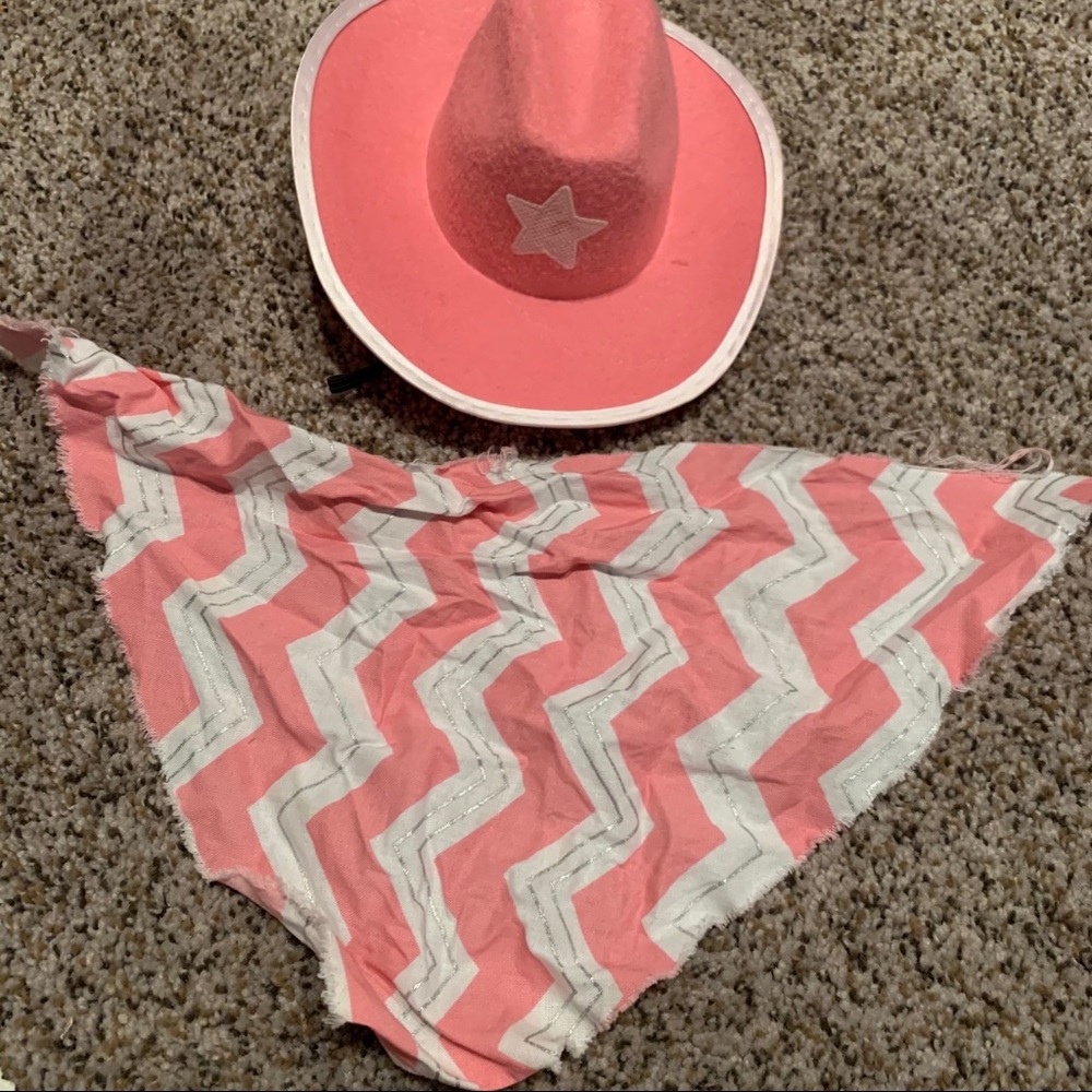 Cowgirl dog hat and bandanna